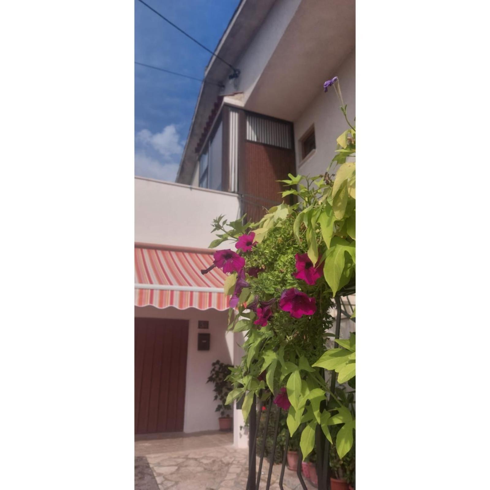 Apartman Dino Roč 외부 사진